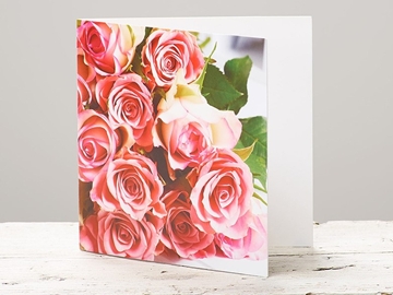 Picture of Pink Rose Card 