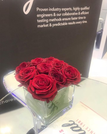 Red Rose Cube Vase Display For ICE Totally Gaming 