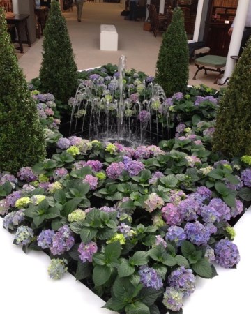 Buxus And Hydrangea Water Feature Olympia London 