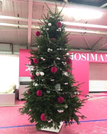 Decorated Christmas Tree - Spirit Of Christmas Olympia 