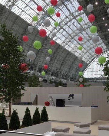 Buxus - Trees - Decoration Design At Olympia London 