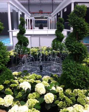 Spiral Buxus And Hydrangea Water Feature - London 