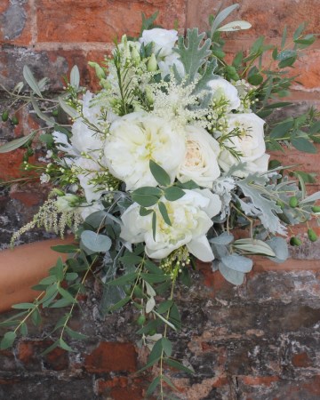 Bridal Bouquet Featuring - White O'Hara Rose - Ivory Peony - Astilbe - Waxflower - Lisianthus - Senecio & Eucalyptus 