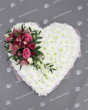 heart floral tribute - based white chrysanthemums with pink spray 