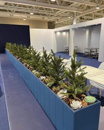 Faux Spruce Trees With Succulent and Cone Border For Spirit Of Christmas Fair Olympia London