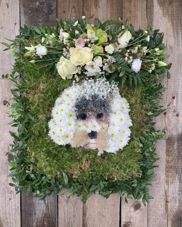 Dog floral tribute 